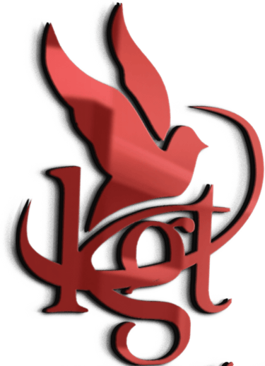KINGSTON GLOBAL AND SYSTEMS TECHNOLOGIES LTD logo