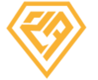 NA LIMOUSINEN SERVICE logo