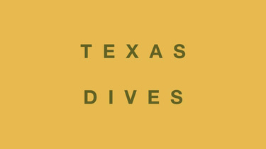 Texas Dives | The Best Bars in Texas logo