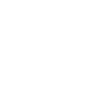 Modellios logo