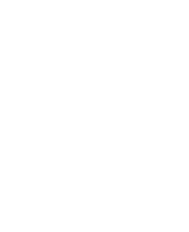 brandimate logo