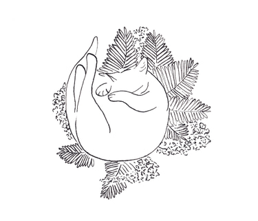 Polyphème logo