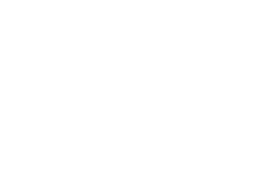 Drive To Safe logo