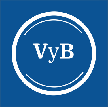 VyB Consultora logo