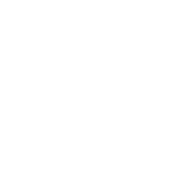 PT Rayya Abadi Heritage - Rayya Industry logo