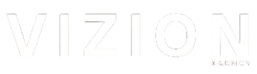 VIZION logo