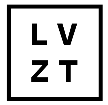 Louis Vizet : Photographe Bordeaux logo