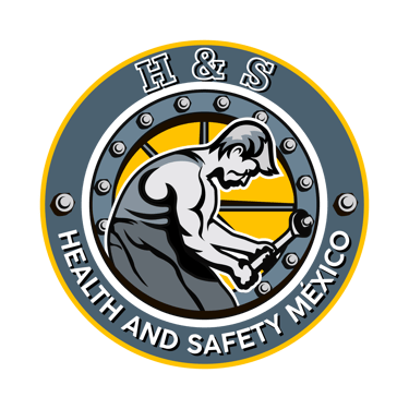 H&S - Health and safety México logo