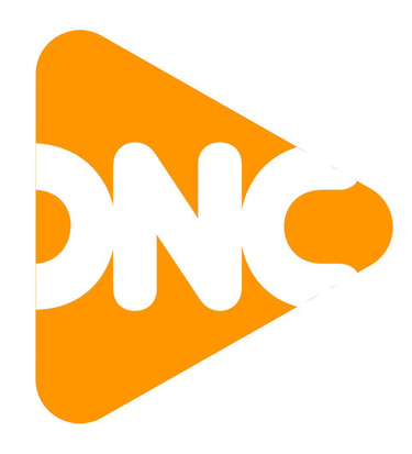 Digital Network Consulting logo