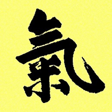 Aikido Kokikai of Queens logo