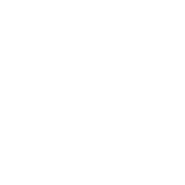 Beyond Braids logo