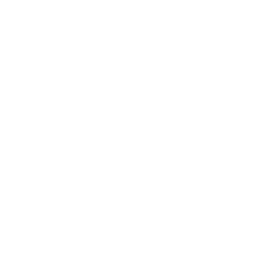 luismircoach logo