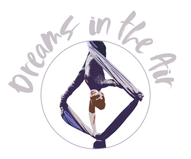 dreams in the air logo
