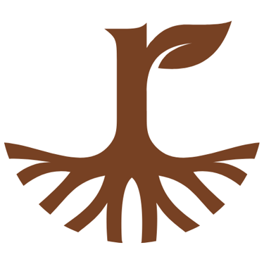 Fundación Semilla y Raíz logo