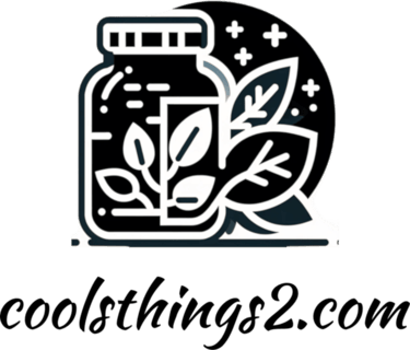 Coolsthings2 logo