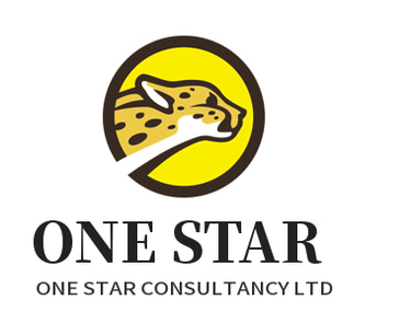 ONE STAR CONSULTANCY LTD logo