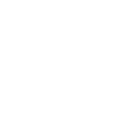 Adrià Solà Pastor logo
