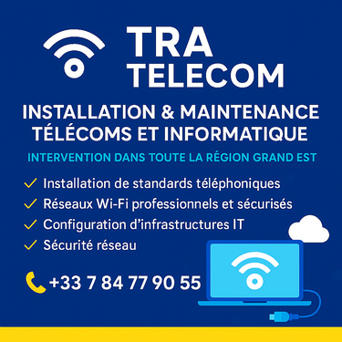 Télécoms & Informatique logo