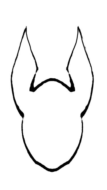 Anubis BioConsulting logo