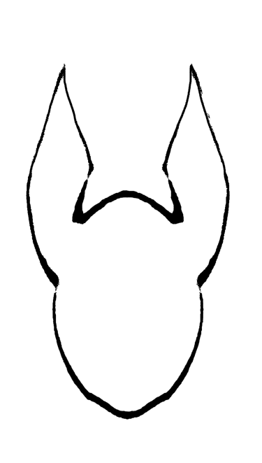 Anubis BioConsulting logo