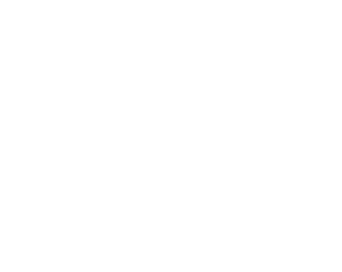 Parkus Films | Filmmaker | Videographer | Photographer  logo