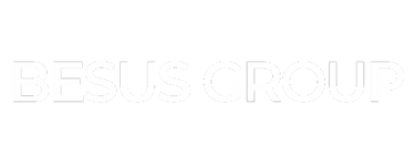 Besus Group Consultoría en Business Growth y sostenibilidad logo