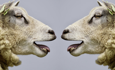 Cuidemos nuestro ambiente !Es importante! Riégalo! logo