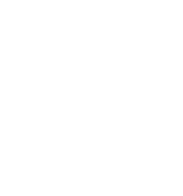 D2 Custom logo
