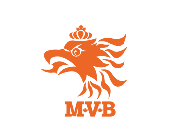 Mississauga Valley Boys logo