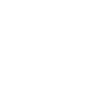 Silvalex: Expert in servicii profesionale de amenajamente silvice, adaptate nevoilor dumneavoastră. logo