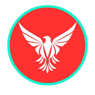 V2N logo
