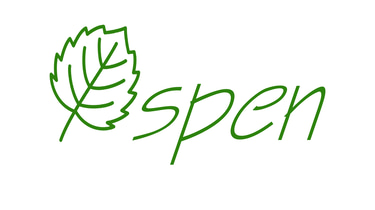 Aspen Construções e Reformas logo