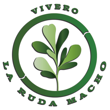 Vivero La Ruda Macho logo