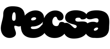 PECSA Studio logo