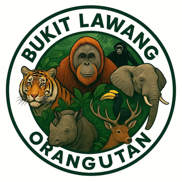 bukitlawangorangutan.com logo