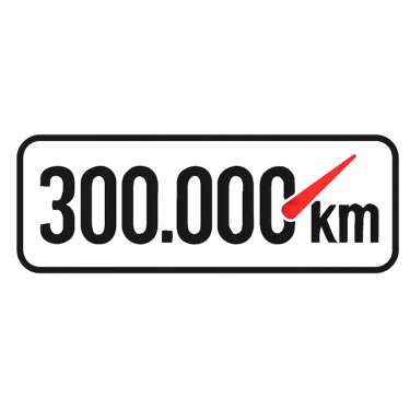 300.000 km logo