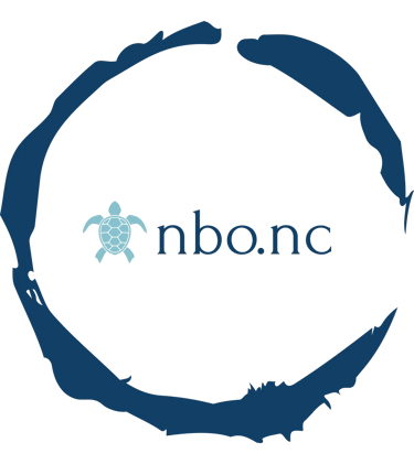 nbo.nc logo