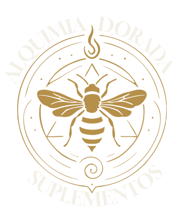 Adrià Solà Pastor logo