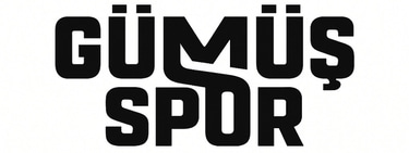 Gümüş Spor logo