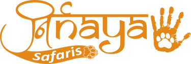 Nirnayaa Safaris logo