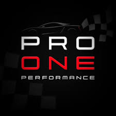 Pro One Performance logo