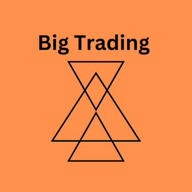 Big Trading Limited logo