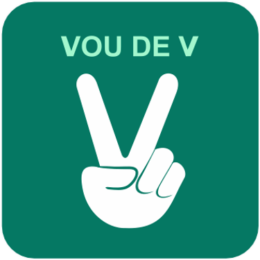 V logo