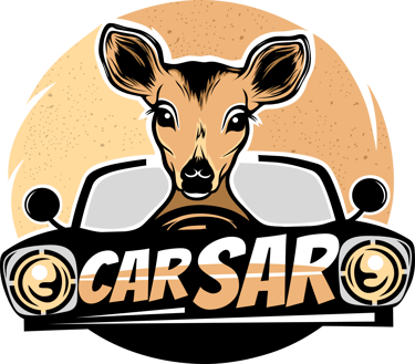 carSar logo