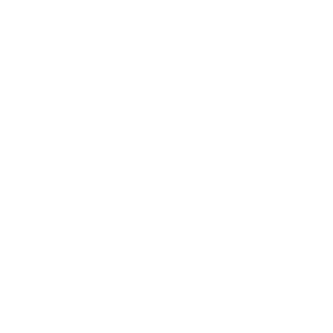 InstallerStarlinkWI logo