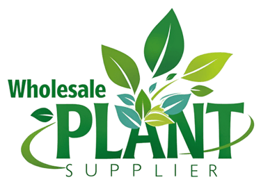 wholesale plant supplier logo