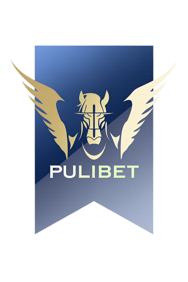 Pulibet Güncel ve Güvenli Hizmet Sektörü logo