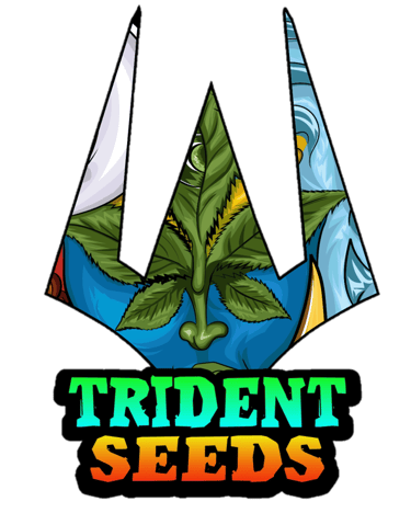 TRIDENT SEEDS CO LTD logo