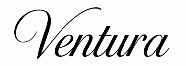Ventura Design & Build logo