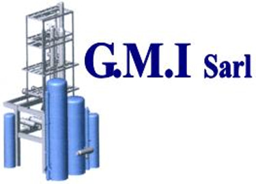 gmisarl logo